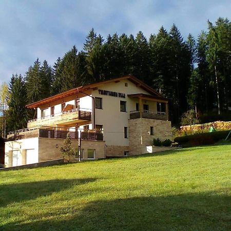 Transylvania Villa & Spa Gosau Exterior foto